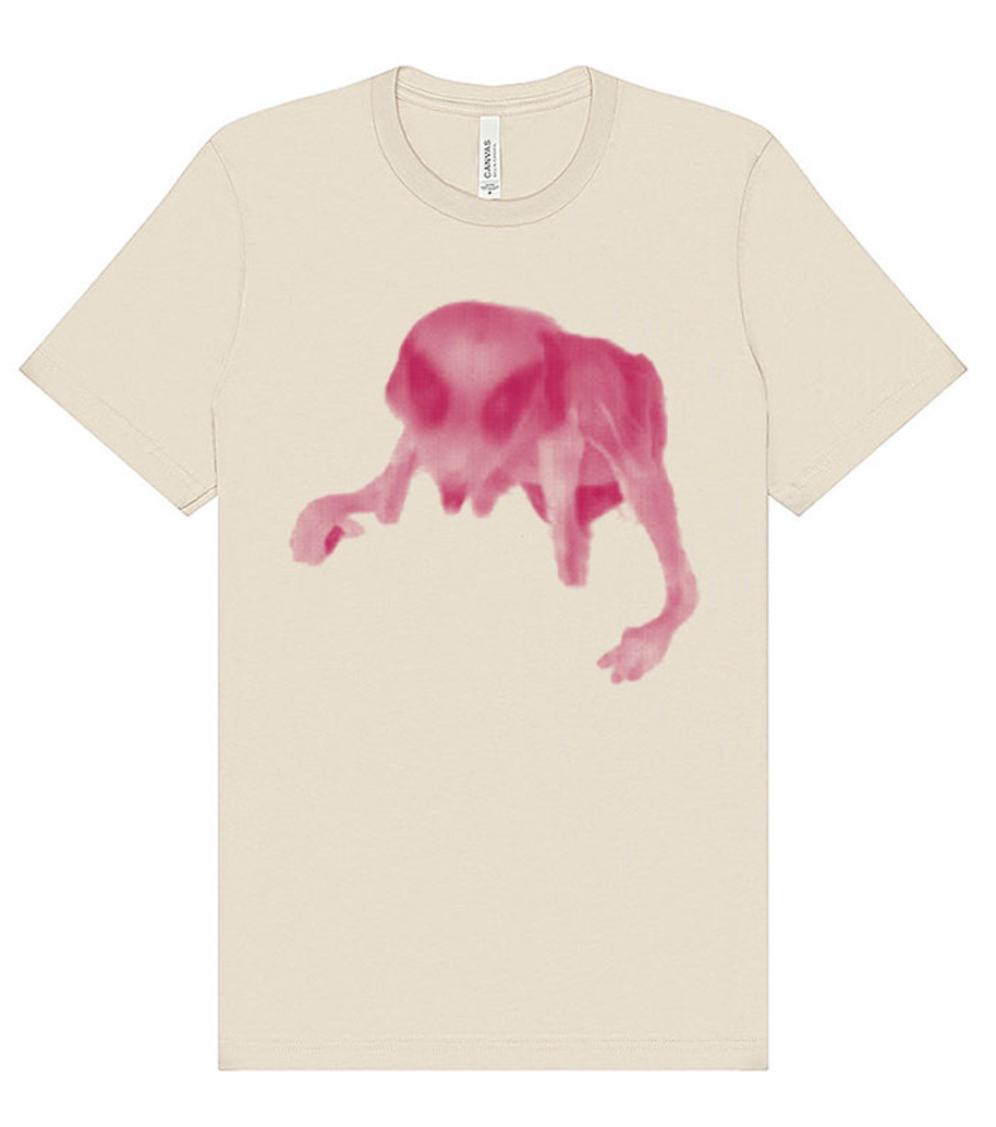 Chimney Swift Alien Shirt